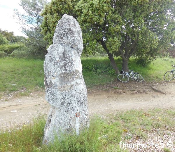La Pierre Bamboche, menhir dans le Gard.