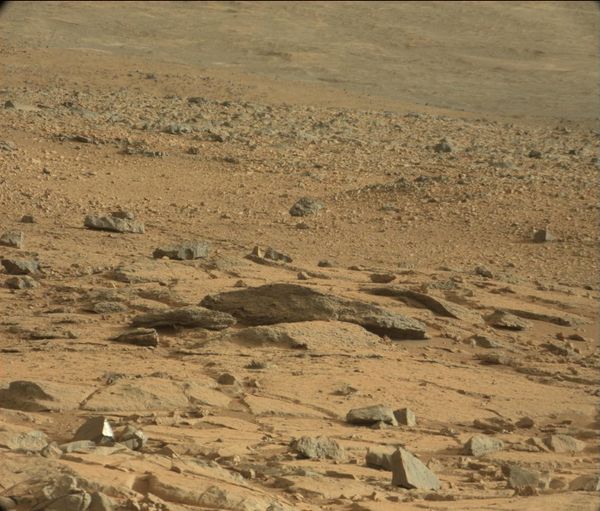 Le lézard de Mars y'a comme un lézard