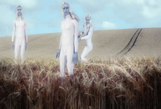 ob_1dda628efb360e52194b25b6973d5d01_grands-blonds.jpg