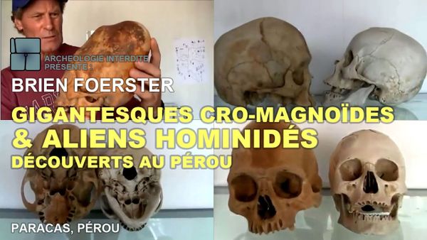 Photo : crânes Paracas du Pérou, peut-être d'origine extraterrestre