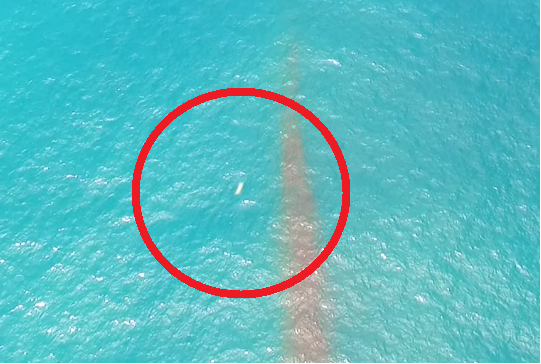 Photo extraite de la vidéo : ovni filmé par un drone à 20 kms au nord de La Serena, côte Myrtle, Chili, le 01 janvier 2016