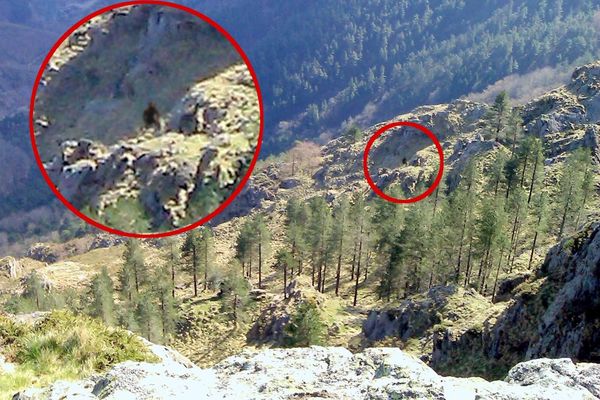 Photo prise le 05 avril 2011 : ce Yéti dans les Pyrénées