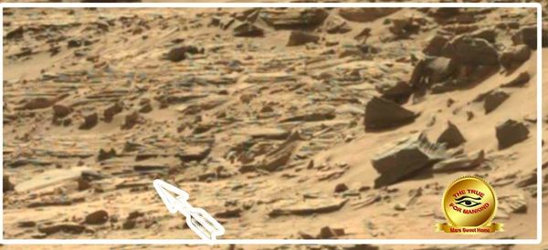 Crédit photo NASA. Curiosity SOL 1290, le 23 mars 2016. Patrick Man a fléché l'endroit du changement sur Mars.