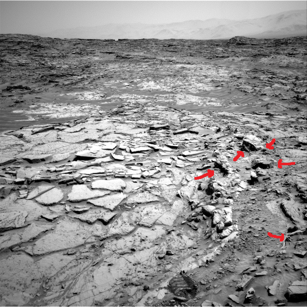 Sur la photo NASA, j'ai fléché en rouge ces insolites formes...