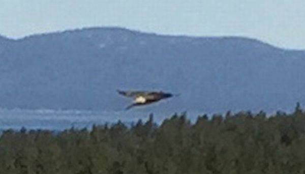 Photo grossie : ovni à Lake Tahoe, Californie, le 18 mai 2016...