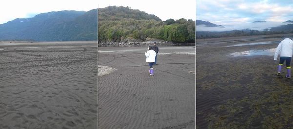 Photos : lac Riesco, au Chili... Où est passée l'eau ?...