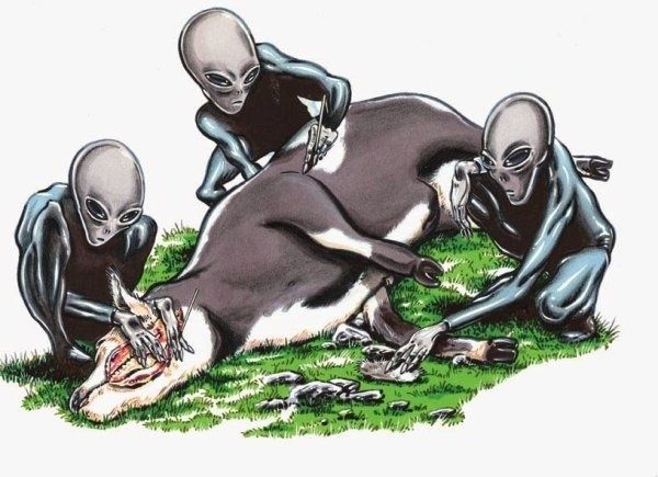 Aliens activités mutilations de bétail au Pays-de-Galles