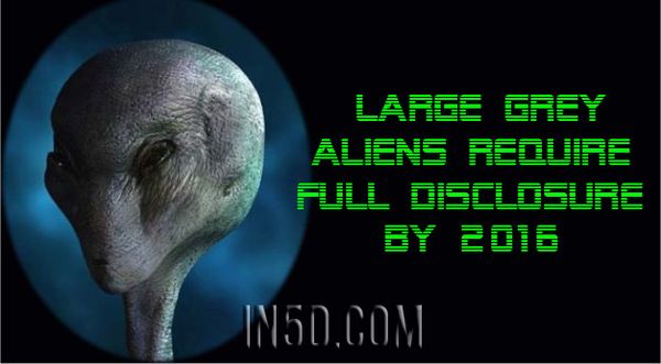Le traité entre les Aliens Grands Gris et le Gouvernement Secret
