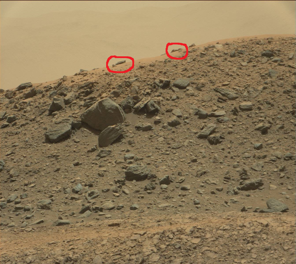 Crédit photo NASA : j'ai entouré en rouge ces deux curieuses formes sur Mars...