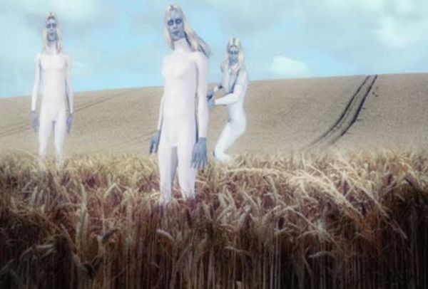 Des Aliens Grands Blancs vus près des crop circles
