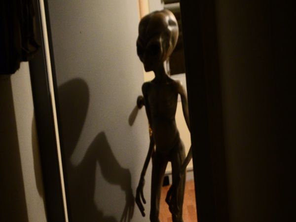 Alien Gris en Géorgie USA en 1991