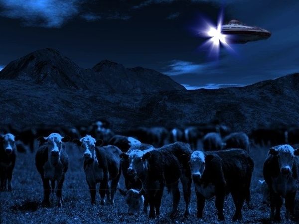 Alien Theory et Paranormal sur Numéro 23 mercredi soir 24 août 2016