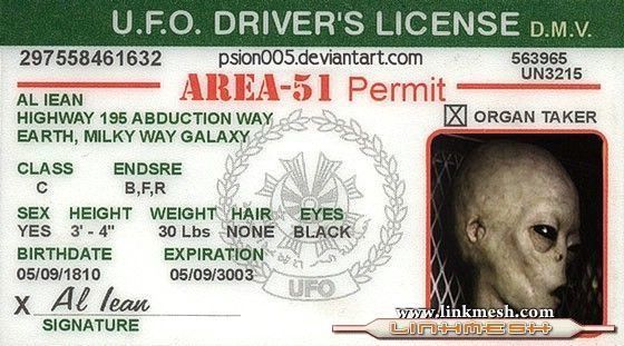 Les Aliens Mutilateurs de Bétail en activités au 37ème Parallèle