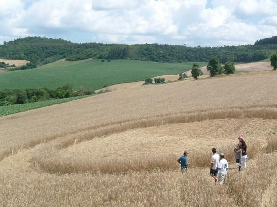 Les crop circles de Ipuaçu au Brésil