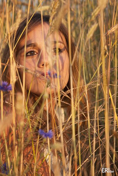 Estivales : Aurore dans le champ de seigle 1