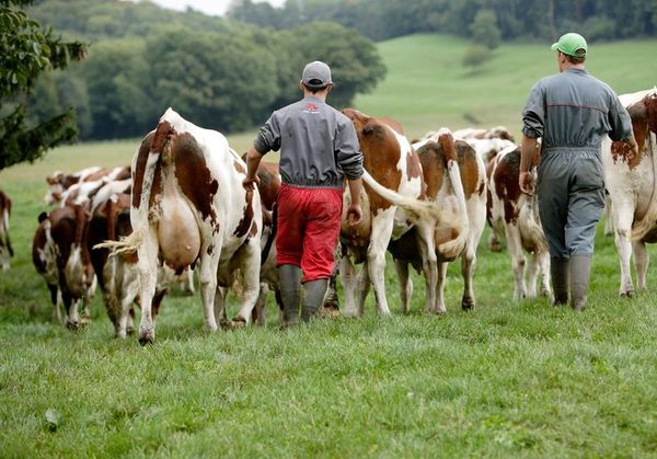 Photo : la maison du lait