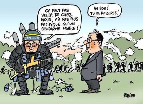 Mort de Rémi Fraisse : les conclusions accablantes de la commission d'enquête