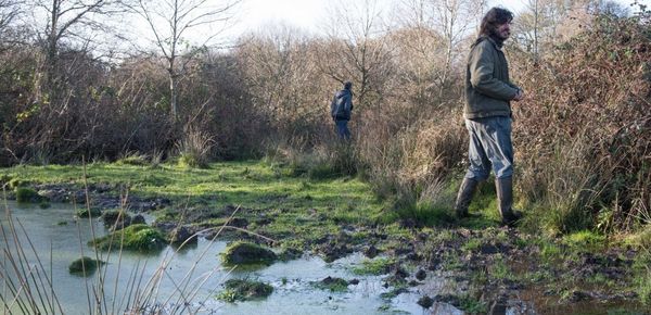 Les naturalistes en lutte montrent une espèce de plante protégée sur le site de l'aéroport de Notre dame des Landes. Sebastien Salom-Gomis/SIPA