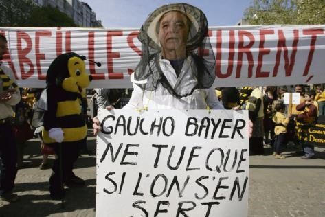 Manifestation contre les pesticides Gaucho de Bayer, en avril 2007, devant le siège de Bayer à Bruxelles. Photo : John Thys/AFP