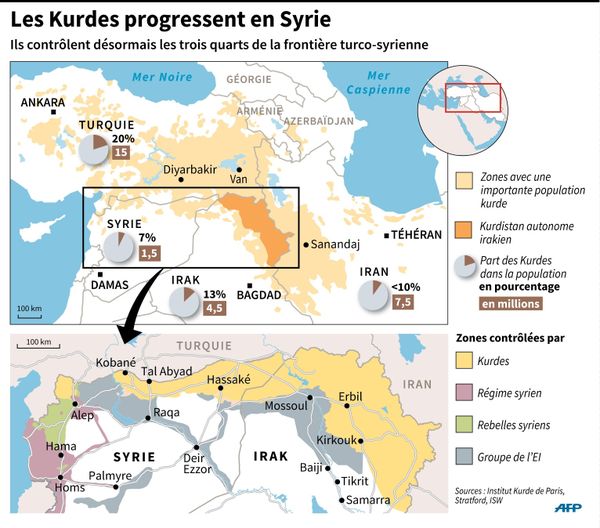 Les Kurdes sont environ 40 millions, répartis sur 4 pays. Pour eux, l'organisation en fédérations est le moyens d'aquérir plus d'autonomie sans mettre en péril les unités nationales. AFP
