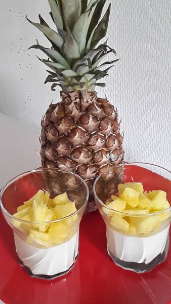 Panna cotta des îles