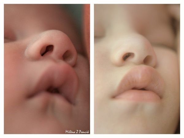 Petits détails à croquer