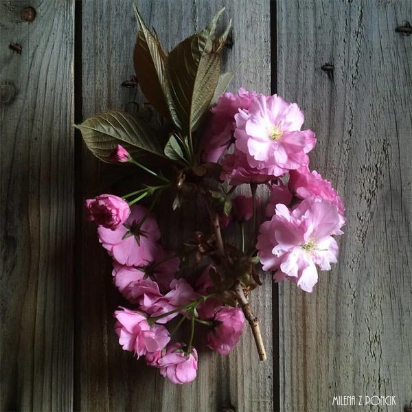 Les trois mercis aka #FF la Vie {28}