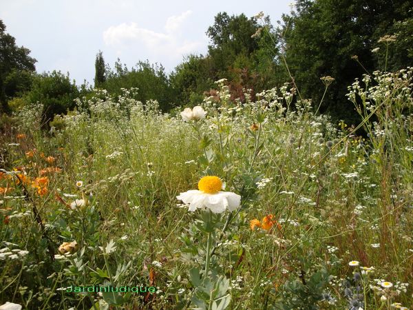 Le naturel au jardin.