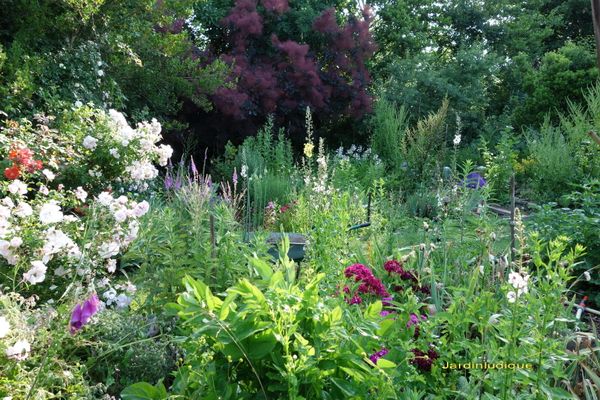 Potager naturel, sans aucun produit.