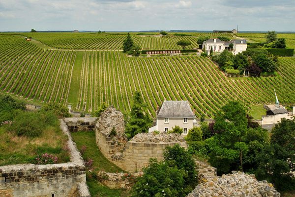 DEGUSTATION CHINON / BOURGUEIL/ St NICOLAS de BOURGUEIL