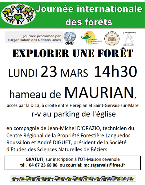 EXPLORER UNE FORET