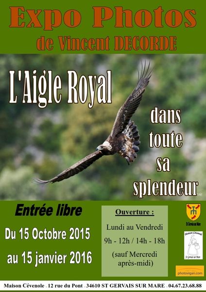 EXPOSITION L'AIGLE ROYAL DANS TOUTE SA SPLENDEUR
