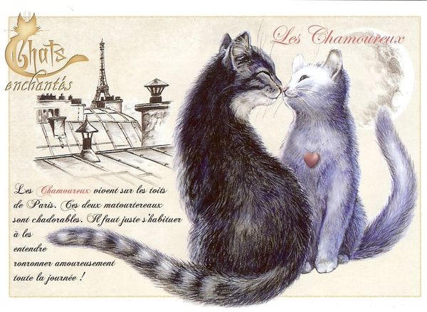 capice pour Icioula