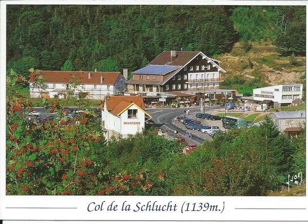 le massif vosgien