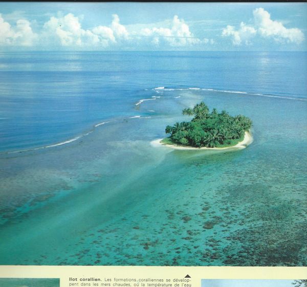 île coralienne