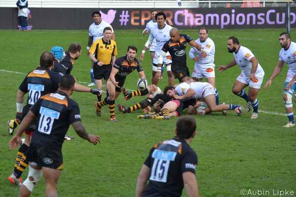Les Wasps, pas exceptionnels mais lucides