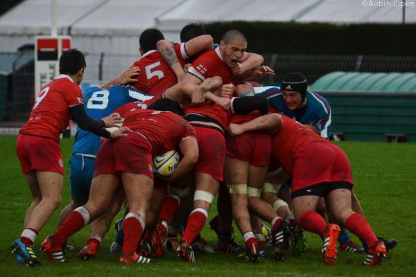 L'avenir du rugby européen à Albi