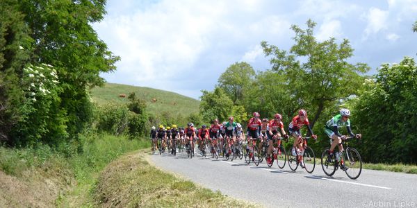 Journée tranquille dans le peloton