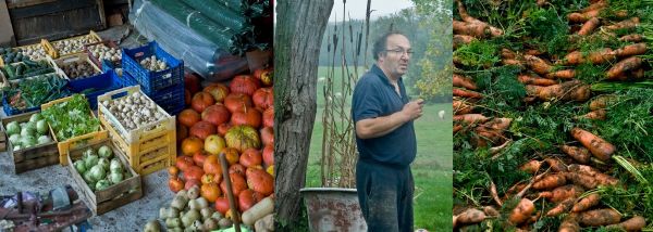 Lancement d'une nouvelle AMAP à Colombes