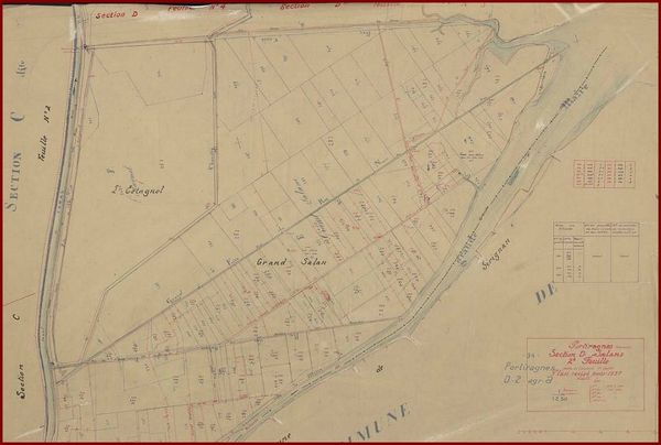 Plan / cadastre des salans (AD - 1937)