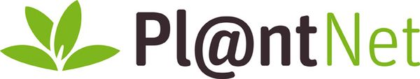 Pl@ntNet-identify