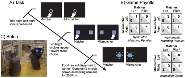 Chimps Best Humans at Game Theory