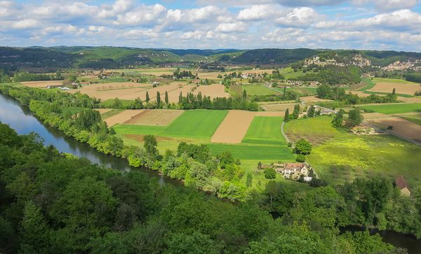 LES PESTICIDES SYSTÉMIQUES SONT UNE MENACE POUR LA BIODIVERSITÉ