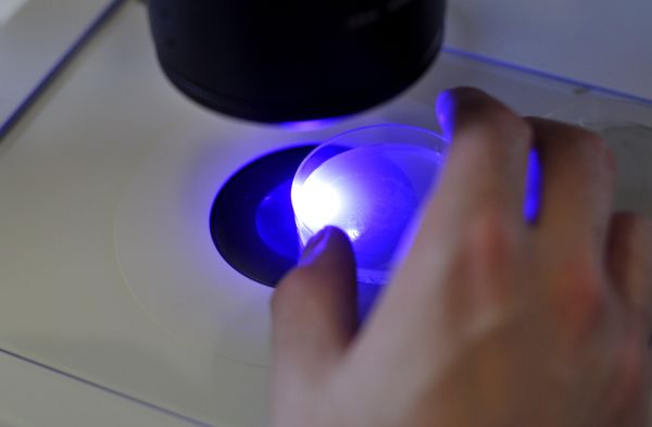 POSTDOCTORAL POSITION - C. ELEGANS EXPERIMENTAL EVOLUTION