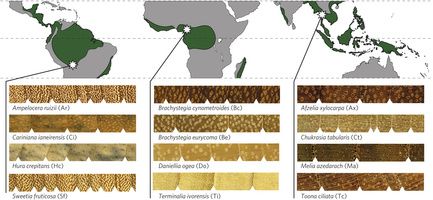 Figure 1: Study sites and annual growth rings of the study species.