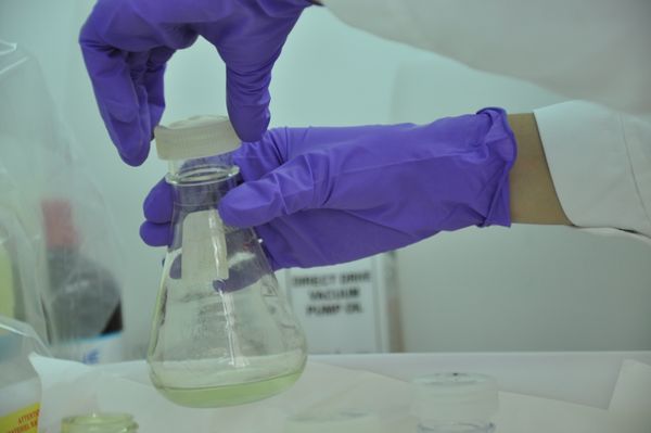 PhD position in Genomics of Rapid Adaptation