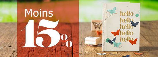 Papillon pot pourri et perforatrice en promotion
