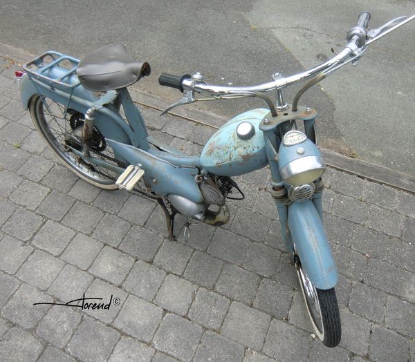 DS21