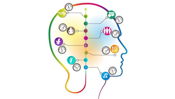 Il n'y a pas qu'une seule forme d'intelligence