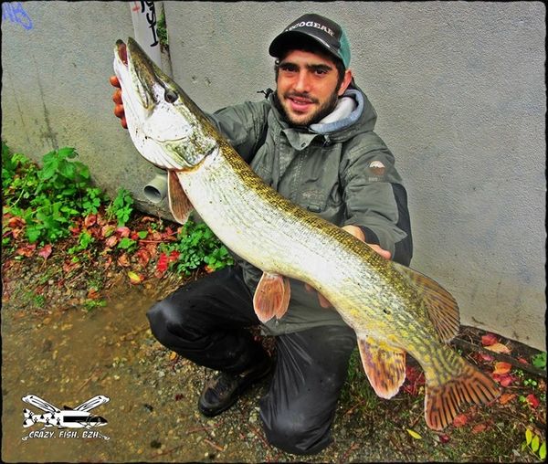 les poisson sont de sortie nous aussi !!!!!!